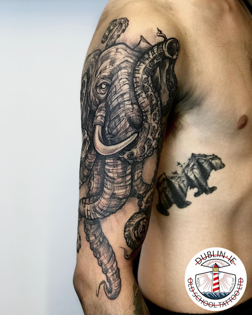 elephant octopus